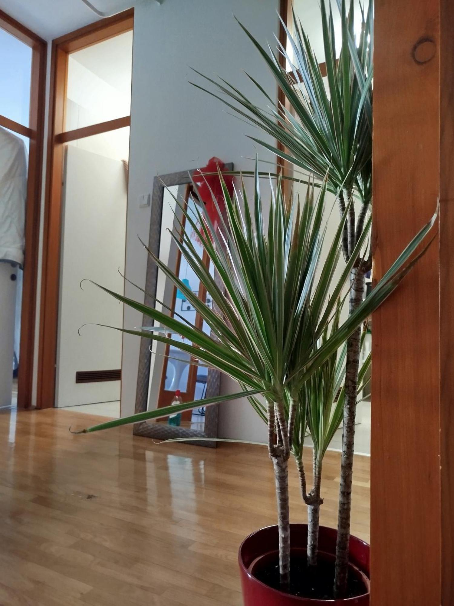 Maximus 2 Apartment Čakovec Екстериор снимка